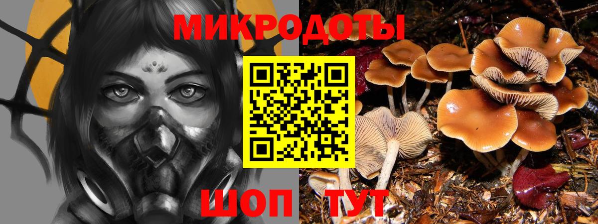 Галлюциногенные грибы GOLDEN TEACHER  Вход с VPN  где купить   Кириши 