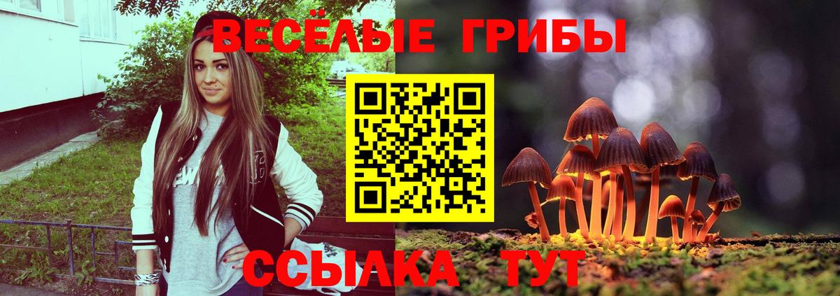 Псилоцибиновые грибы MAGIC MUSHROOMS Кириши
